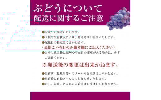 【2024年8月上中旬から発送】山梨県産 朝採り！サニールージュ　2キロ箱　古田農園[5839-1229]