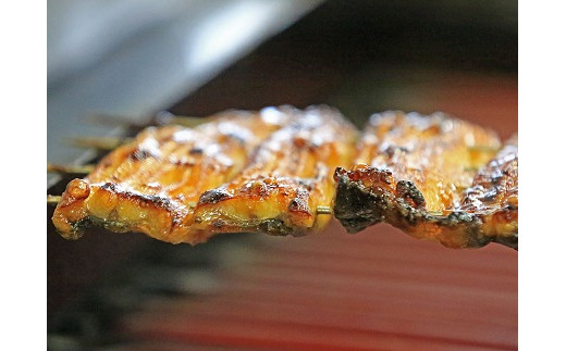 【中央市共通返礼品】国産うなぎ　職人手焼き蒲焼2尾（約260g） [5839-1508]