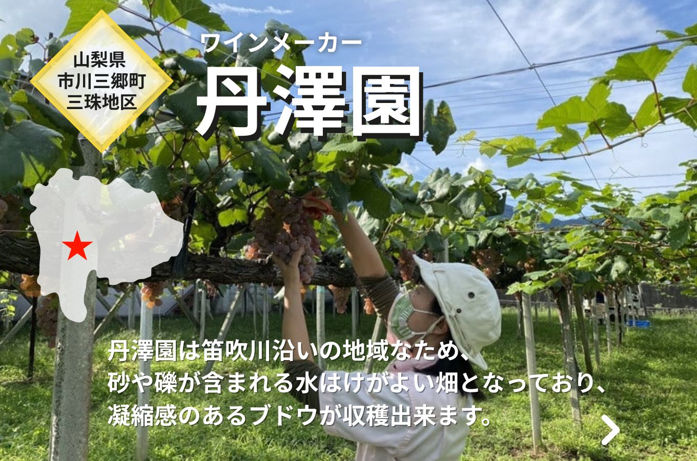 ワイン 白ワイン 山梨 750ml 「三珠甲州　キュヴェ・タンザワ　一文字短梢」 シャトー・メルシャン [5839-1476]