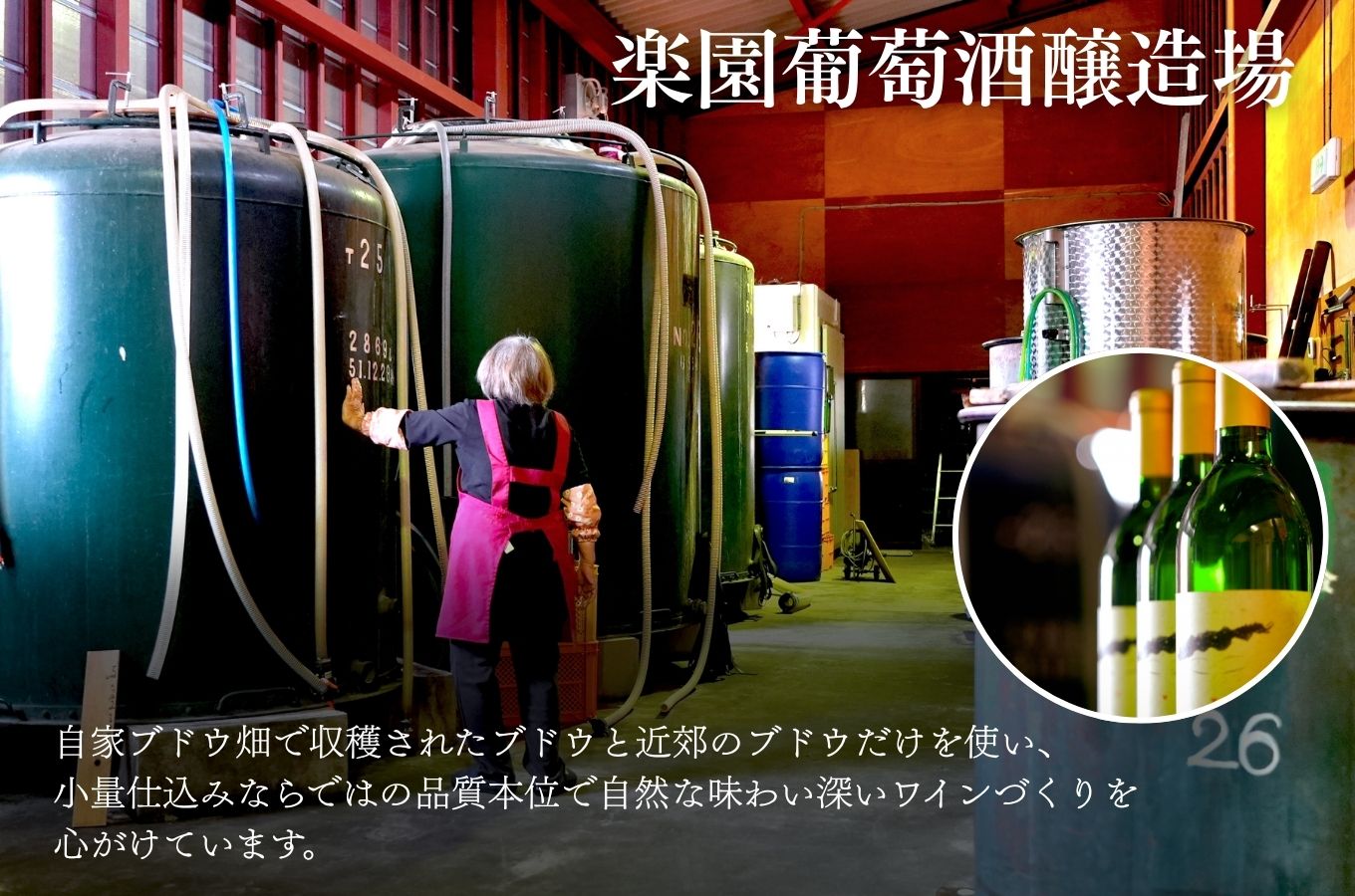 2025年収穫　新酒ワイン　にごり白ワイン　720ml×2本セット[5839-1460]