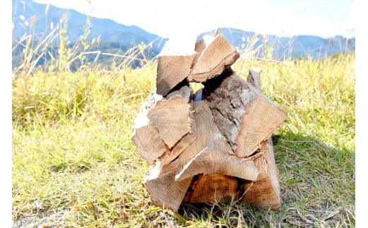 【山梨県市川三郷町産】キャンプ・アウトドアに広葉樹乾燥薪20㎏[5839-1575]