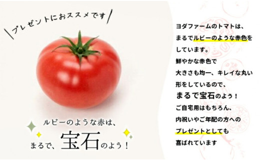 【中央市共通返礼品】秋作 トマト 桃太郎 約2kg とまと 野菜 やさい 2キロ 季節限定 期間限定 産地直送 山梨県産 【2026年10月下旬-12月下旬発送予定】 [5839-1548]