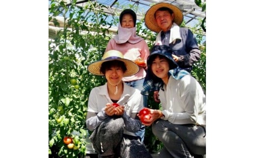 【中央市共通返礼品】トマト塩糀　トマト塩糀 余すとこなくまるごとトマト約10個を「ぎゅっ」と濃縮！ [5839-1549]