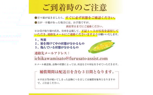 市川三郷町大塚産の甘々娘（とうもろこし）６本入り 【2026年6月上旬発送】　Kai Sweet Farm[5839-2060]