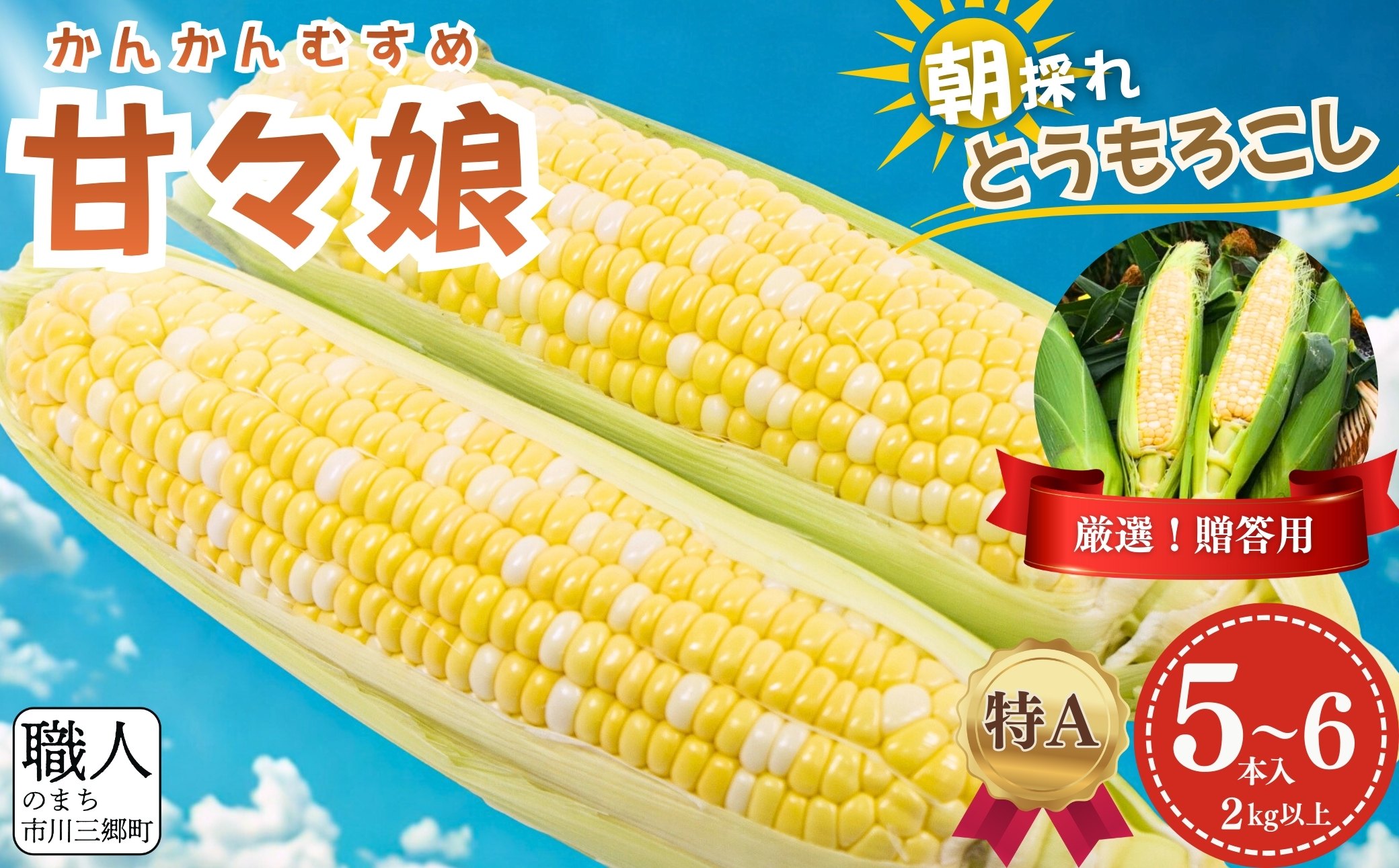極甘フルーツとうもろこし「甘々娘（かんかんむすめ）」特Ａ品・激選贈答用 5～6本入り 【2026年6月中旬から発送】 アグリ甲斐 [5839-8579] 