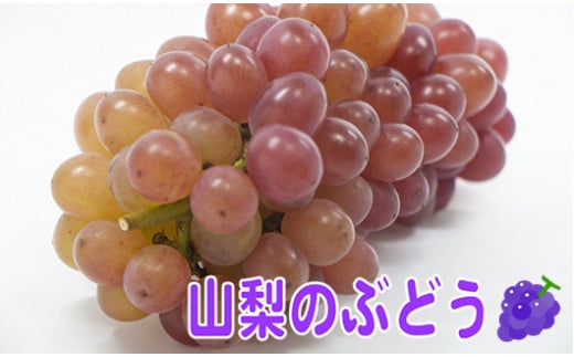 【2024年8月上中旬から発送】山梨県産 朝採り！サニールージュ　2キロ箱　古田農園[5839-1229]