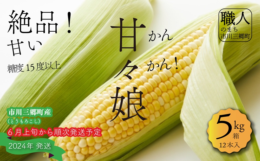 【 先行受付】2024年6月上旬から発送：絶品！市川三郷町産甘々娘（とうもろこし）12本入り5kg箱丹沢淳農園 [5839-1368]