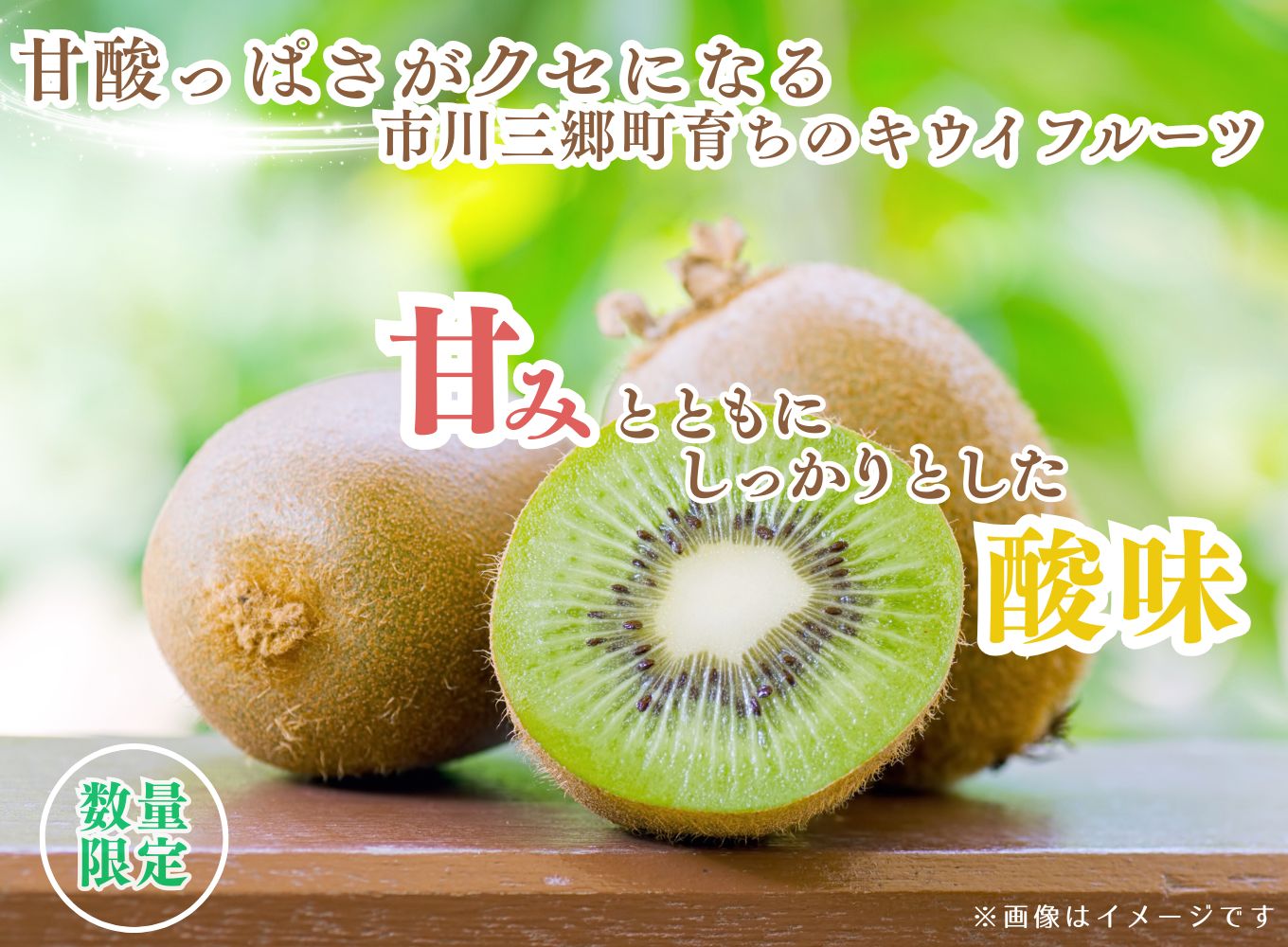 キウイフルーツ（ヘイワード）　約2キロ（20～24玉）秋山農園 [5839-1606]