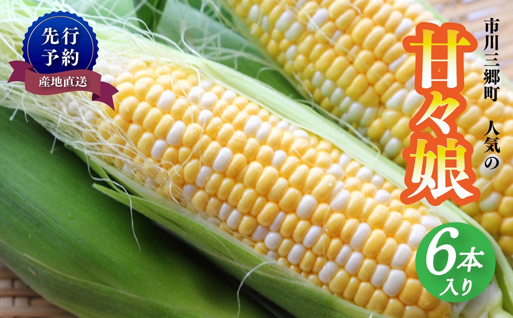 【先行予約】2024年6月上旬から発送　絶品！市川三郷町産甘々娘（とうもろこし）6本入り　薬袋和幸農園[5839-1982]