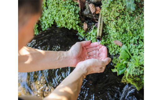 No.362 心の酢　ギフト5本セット ／ 純米酢 ぽん酢 調味料 山梨県【n0362_tot_B】