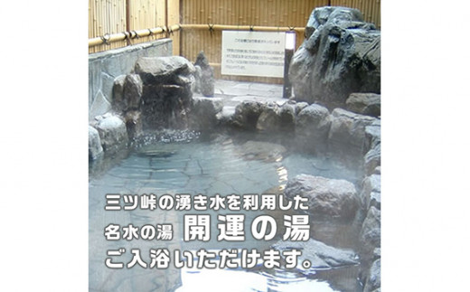 No.368 ログハウス5人棟宿泊券 ／ 宿泊チケット アウトドア 貸切 山梨県【n0368_grn_A】