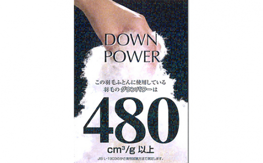 No.432 【スーパープレミアムグース羽毛布団】綿100％ブルー系 ／ 寝具 布団 ホワイトグースダウン 山梨県【n0432_del_A】
