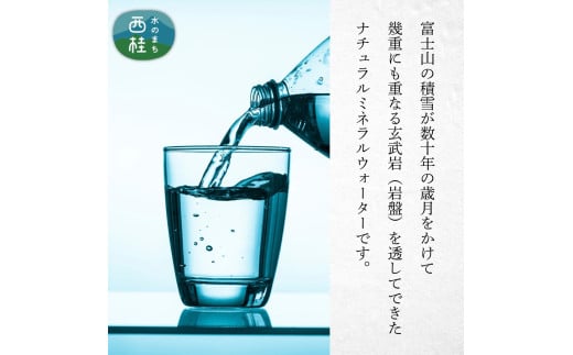 非常用飲料水 富士山麓の保存水500ml 24本入 総量12L／ミネラルウォーター お水 軟水 飲料 飲料水 ペットボトル 生活必需品 消耗品 備蓄 備蓄水 防災用品 防災 災害対策 5年 長期保存 人気 まろやか おいしい 送料無料 山梨県 西桂町【n0546-24_web_A】