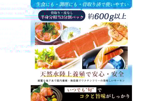 富士頂純サーモン 刺し身セット 半身分3分割 600g以上 富士山麓のきれいな天然水で養殖された安心安全な国産サーモン 刺身 小分け 生食サーモン 国産 海鮮丼 カルパッチョ 生食 海鮮 冷凍 人気 フィレ 切り身 皮なし 骨なし 骨取り ムニエル 刺身 [注目]【n0556_nes_A】