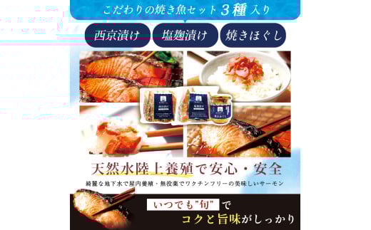 富士頂純サーモン こだわり焼き魚セット 西京漬け・塩麹漬け・焼きほぐしの3種入 富士山麓のきれいな天然水で養殖された安心安全なサーモン 完全無投薬・ワクチンフリー・アニサキスフリー・サステナブル 鮭 切り身 フレーク 焼き鮭 [注目]【n0558_nes_A】