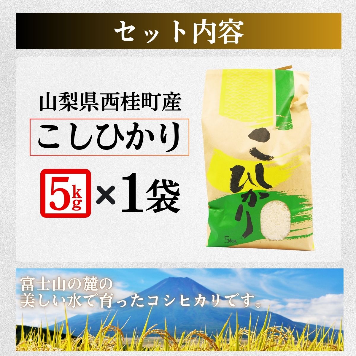 コシヒカリ 5キロ 1袋 / 国産 こしひかり  5キロ 令和7年 新米 米 お米 保存袋 生活必需品 ギフト 贈り物 お歳暮 ふるさと納税 送料無料【n0663-05_gou】