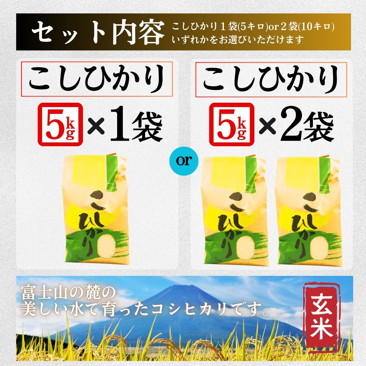 コシヒカリ【玄米】 5キロ 1袋 / 国産 こしひかり  5キロ 令和7年産 米 お米 保存袋 生活必需品 ギフト 贈り物 お歳暮 ふるさと納税 送料無料【n0668-05_gou】