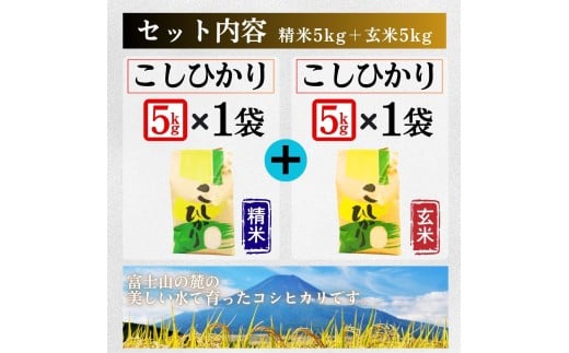 コシヒカリ【精米5キロ＋玄米5キロ】合計10キロ  / 国産 こしひかり  10キロ 令和7年産 米 お米 玄米 保存袋 生活必需品 ギフト 贈り物 お歳暮 ふるさと納税 送料無料【n0669_gou】