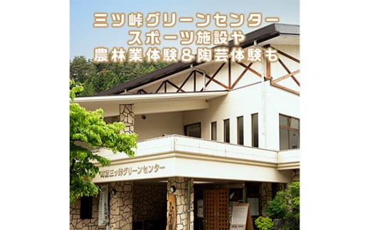 No.368 ログハウス5人棟宿泊券 ／ 宿泊チケット アウトドア 貸切 山梨県【n0368_grn_A】