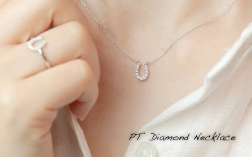 ダイヤ ダイヤモンド ネックレス 0.12ct ジュエリー アクセサリー ペンダント 宝石 プラチナ ギフト プレゼント 贈り物 記念日 お祝い 誕生日 人気 高級 山梨県 西桂町【n0478_liz_B】