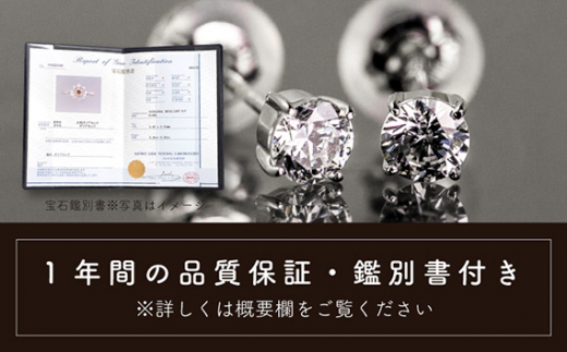 ダイヤ pt900 ダイヤモンド ピアス 0.10ct 鑑別書 保証書 ケース 付 ジュエリー アクセサリー ダイヤピアス 宝石 プラチナ ギフト プレゼント 贈り物 記念日 お祝い 誕生日 人気 高級 山梨県 西桂町【n0480_liz_B】