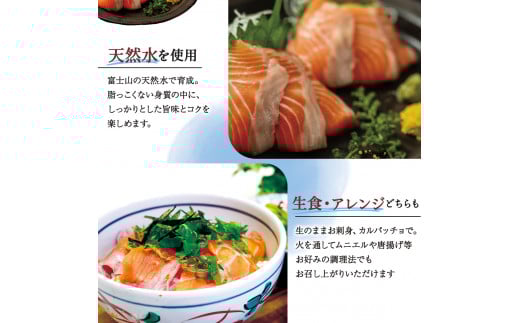 富士頂純サーモン 刺し身セット 半身分2分割 450g以上 富士山麓のきれいな天然水で養殖された安心安全なサーモン 完全無投薬・ワクチンフリー・アニサキスフリー・サステナブルな養殖サーモン フィレ 切り身 皮なし 骨なし 骨取り 生食 ムニエル 刺身 [注目]【n0556-0450_nes_A】