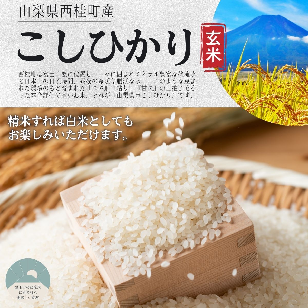 コシヒカリ【玄米】 5キロ 2袋 / 国産 こしひかり  10キロ 令和7年産 米 お米 保存袋 生活必需品 ギフト 贈り物 お歳暮 ふるさと納税 送料無料【n0668-10_gou】
