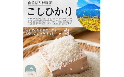 コシヒカリ【精米5キロ＋玄米5キロ】合計10キロ  / 国産 こしひかり  10キロ 令和7年産 米 お米 玄米 保存袋 生活必需品 ギフト 贈り物 お歳暮 ふるさと納税 送料無料【n0669_gou】