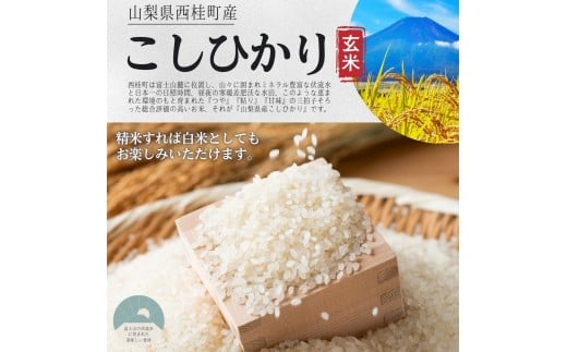 【2026年発送分先行予約】山梨県西桂町産コシヒカリ【玄米】  国産 こしひかり  5キロ 2026年秋頃より順次発送予定【n0671-05_gou】