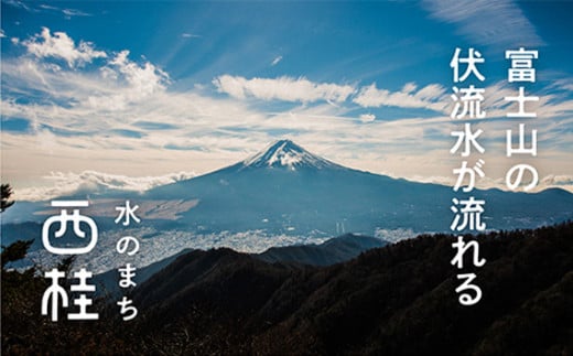 No.107 【B】CMCbioペンダント2本セット ／ カーボンマイクロコイル ステンレス製チェーン付 山梨県【n0107_nyu】