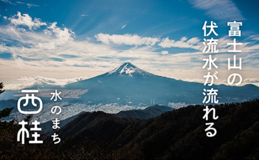 No.327 【A】CMCbioペンダント ／ カーボンマイクロコイル ステンレス製チェーン付 山梨県【n0327_nyu_A】