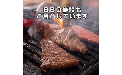 No.368 ログハウス5人棟宿泊券 ／ 宿泊チケット アウトドア 貸切 山梨県【n0368_grn_A】