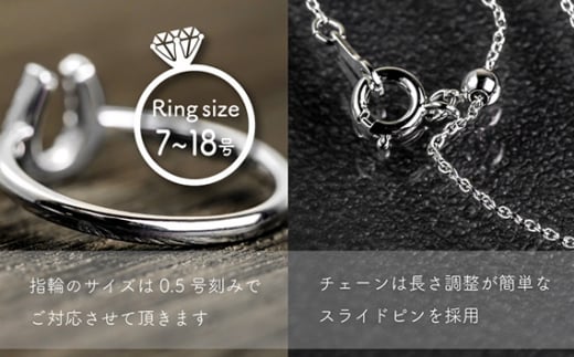 ダイヤ pt900 ダイヤモンド リング ネックレス 2点 セットt 鑑別書 保証書 ケース 付 ジュエリー アクセサリー 指輪 ペンダント 宝石 プラチナ ギフト プレゼント 贈り物 記念日 お祝い 誕生日 人気 高級 山梨県 西桂町【n0482_liz_B】