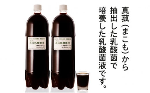 【定期便】真菰（まこも）乳酸菌液　1.5L×2本　3ヶ月定期便 ／ マコモ 無農薬栽培 山梨県【n0510-03_nyu】