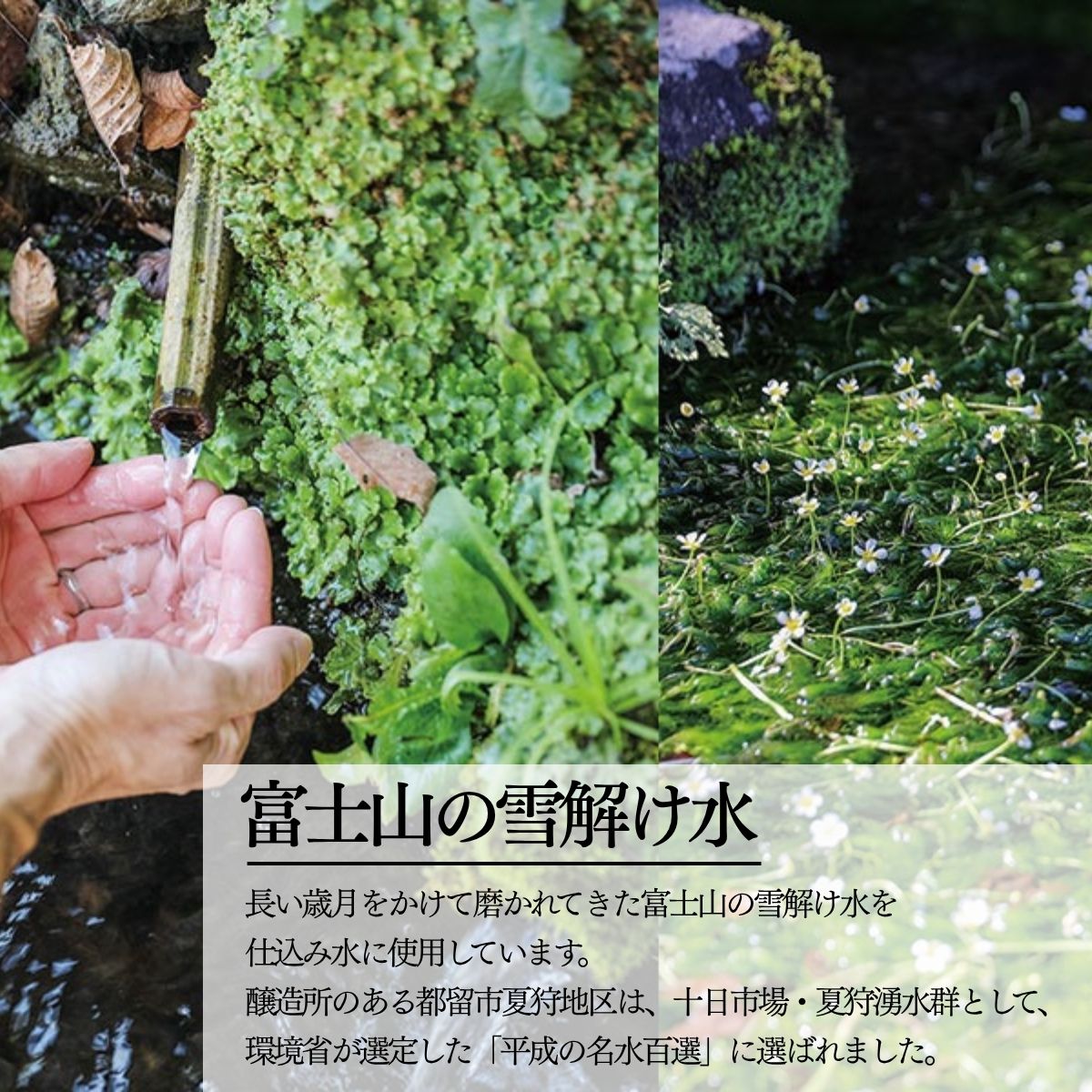 心の酢「上澄み無濾過」優秀味覚賞受賞500ml×3本セット /天然醸造純粋米酢 米酢 長期熟成 富士山 湧水 戸塚醸造酢 酢 調味料 優秀味覚賞10年連続受賞 ギフト 贈り物 お取り寄せ ヘルシー 【n0638-03_tot】