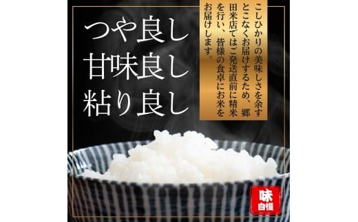 コシヒカリ【精米5キロ＋玄米5キロ】合計10キロ  / 国産 こしひかり  10キロ 令和7年産 米 お米 玄米 保存袋 生活必需品 ギフト 贈り物 お歳暮 ふるさと納税 送料無料【n0669_gou】