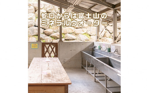 No.368 ログハウス5人棟宿泊券 ／ 宿泊チケット アウトドア 貸切 山梨県【n0368_grn_A】