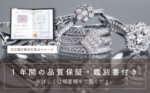 ダイヤ 指輪 pt900 ダイヤモンド ハーフエタニティ リング 0.08ct 鑑別書 保証書 ケース 付 ジュエリー アクセサリー 宝石 プラチナ ギフト プレゼント 贈り物 記念日 お祝い 誕生日 人気 高級 山梨県 西桂町【n0476_liz_B】