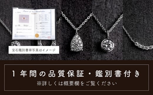 ダイヤ ダイヤモンド ネックレス 0.12ct ジュエリー アクセサリー ペンダント 宝石 プラチナ ギフト プレゼント 贈り物 記念日 お祝い 誕生日 人気 高級 山梨県 西桂町【n0478_liz_B】