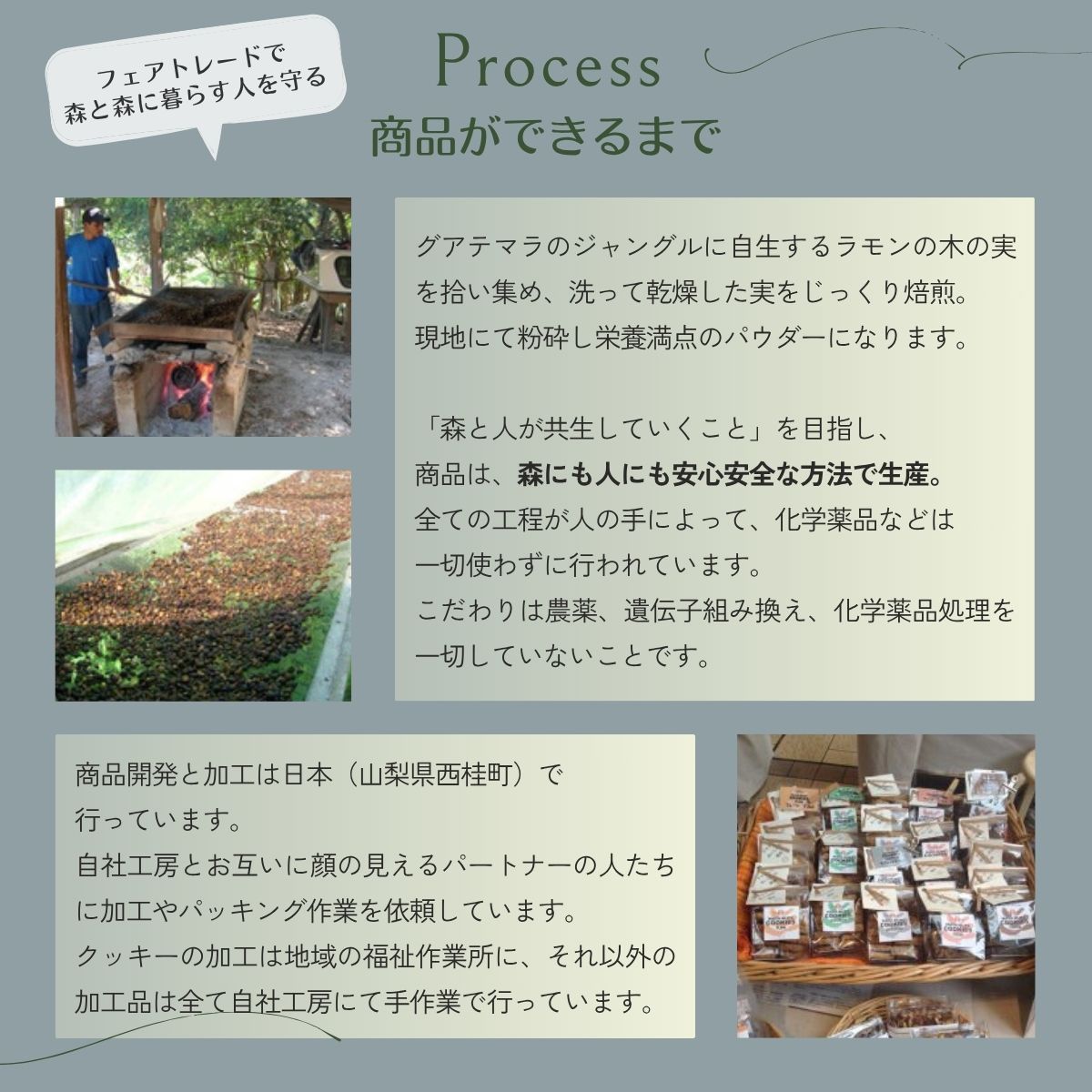 マヤナッツエンジョイセット　約400g　パウダー・コーヒー風・チャイ・ショコラテのセット　古代マヤから伝わるスーパーエナジーフード／ミネラル ドリンク 送料無料 山梨県 特産品 ノンカフェイン コーヒー ナッツパウダー チャイ ショコラテ【n0494_myn】