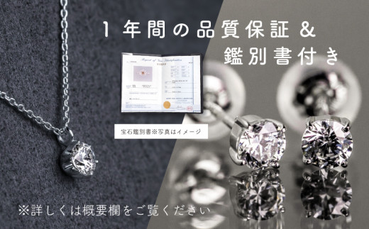 ダイヤモンド ネックレス + ピアス 2点セット （RP-423-063） 鑑別書 保証書 ケース 付 ／ ジュエリー アクセサリー 宝石 ギフト プレゼント 贈り物 記念日 お祝い 誕生日 人気 高級 山梨県 西桂町【n0521_liz_B】
