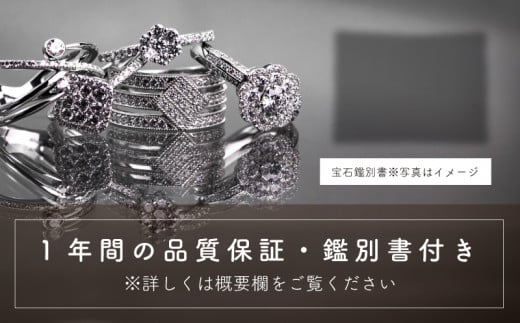 pt900 ダイヤモンド リング 0.32ct & ネックレス 0.21ct  豪華2点セット （set677-971） 鑑別書 保証書 ケース 付 ／ ジュエリー アクセサリー 宝石 プラチナ ギフト プレゼント 贈り物 記念日 お祝い 誕生日 人気 高級 山梨県 西桂町【n0540_liz_B】