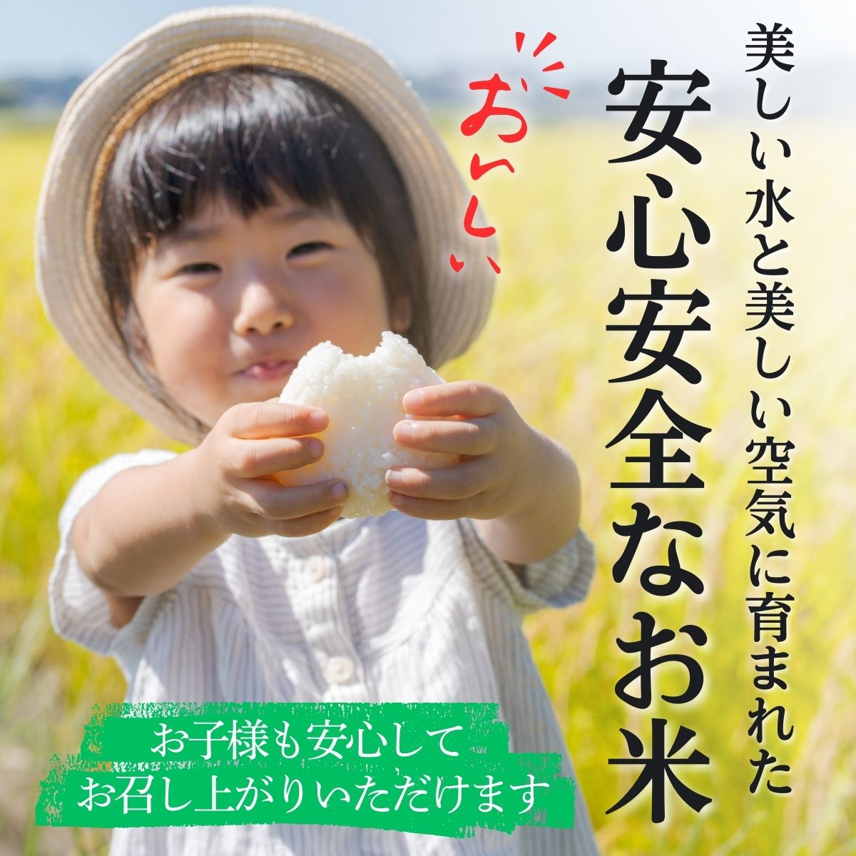 コシヒカリ【玄米】 5キロ 1袋 / 国産 こしひかり  5キロ 令和7年産 米 お米 保存袋 生活必需品 ギフト 贈り物 お歳暮 ふるさと納税 送料無料【n0668-05_gou】