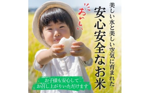 【2026年発送分先行予約】山梨県西桂町産コシヒカリ【精米】  国産 こしひかり  10キロ 2026年秋頃より順次発送予定【n0670-10_gou】