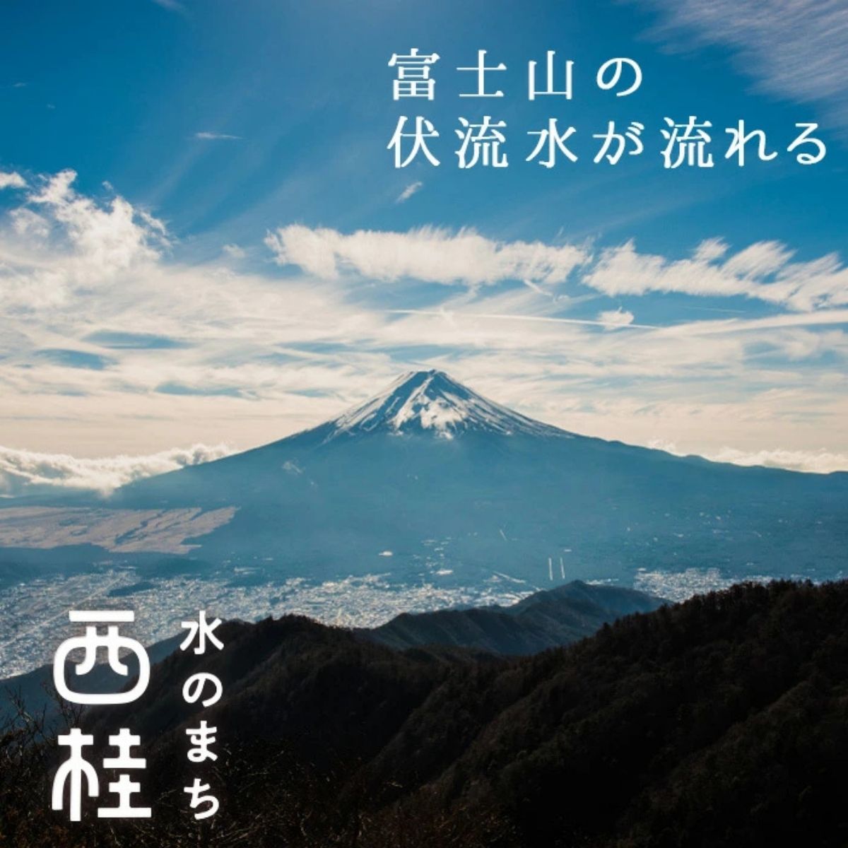 No.145 笹一アルコール77　500ml×4本 ／ 高濃度スピリッツ 醸造用 天然水 山梨県【n0145_sas】