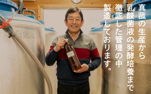 【定期便】真菰（まこも）乳酸菌液　1.5L×6本　12ヶ月定期便 ／ マコモ 無農薬栽培 山梨県【n0511-12_nyu】