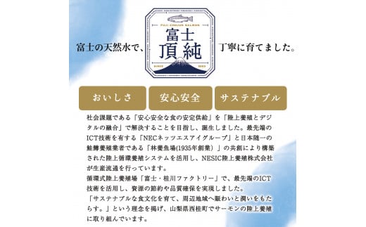 富士頂純サーモン 刺し身セット 半身分2分割 450g以上 富士山麓のきれいな天然水で養殖された安心安全なサーモン 完全無投薬・ワクチンフリー・アニサキスフリー・サステナブルな養殖サーモン フィレ 切り身 皮なし 骨なし 骨取り 生食 ムニエル 刺身 [注目]【n0556-0450_nes_A】