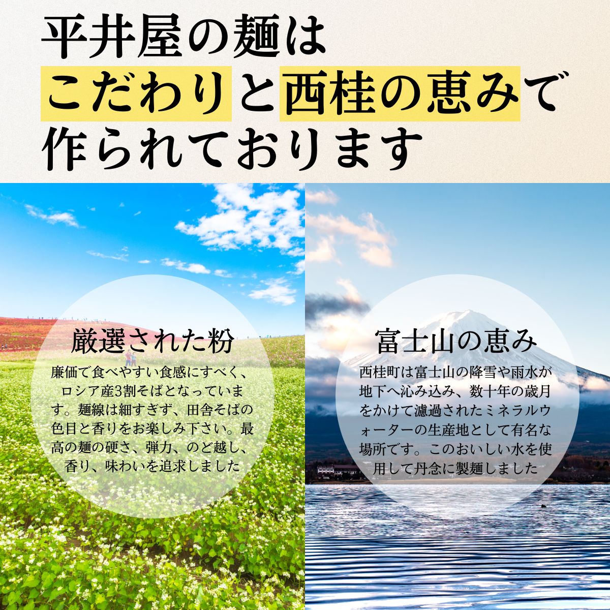 ［訳あり］富岳そば 6人前 (3人前平袋×2パック）  富士山麓の水で練り上げたおいしい蕎麦 ダシの効いたスープ付 ／ セット 田舎そば そばつゆ 送料無料 山梨県 特産品 コシ 風味 きれいな水【n0630-02_hir】 2パック