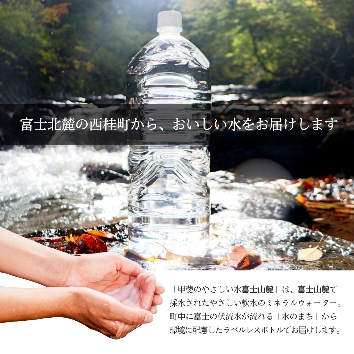 コシヒカリ 3kg 1袋 ミネラルウォーター 2L 4本 セット / 国産 こしひかり 3キロ 令和7年 新米 米 お米 保存袋 水 天然水 飲料水 生活必需品 ギフト 贈り物 お歳暮 ふるさと納税 送料無料【n0662-03_nsk】