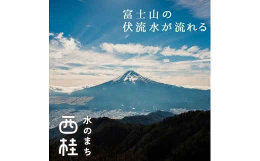 【2026年発送分先行予約】山梨県西桂町産コシヒカリ【玄米】  国産 こしひかり  5キロ 2026年秋頃より順次発送予定【n0671-05_gou】
